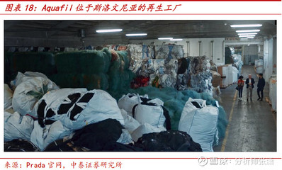 【中泰輕紡】行業(yè)深度:一文讀懂再生尼龍產(chǎn)業(yè)鏈,強調(diào)臺華稀缺產(chǎn)能價值 友情提示 如果您認(rèn)為我們的研究成果對您有所幫助,請酌情在傭金派點上支持中泰輕工紡服團(tuán)隊!核心觀點本篇報告從需求和供給兩個. - 雪球