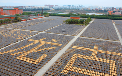 以創(chuàng)意賦能 展國企風(fēng)貌 廈門輕工集團(tuán)亮相第十七屆海峽旅游博覽會,摘取兩項(xiàng)大獎(jiǎng)