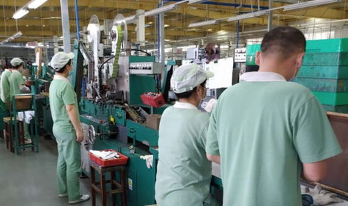 廣州輕工集團(tuán) 以創(chuàng)新驅(qū)動(dòng)高質(zhì)量發(fā)展，譜寫輕工業(yè)新篇章