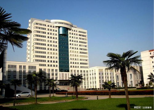 武漢輕工大學(xué) 硬實(shí)力方顯真本事，輕工領(lǐng)域鑄就特色一流