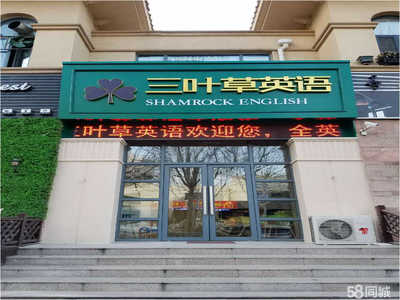 淄博三葉草教育咨詢 專業(yè)服務助力成長之路