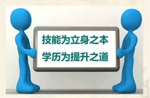 機遇如曇花，教育咨詢助你時刻準備